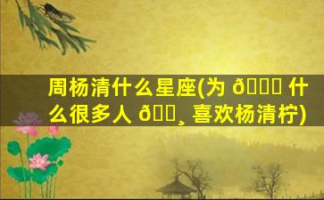 周杨清什么星座(为 🐘 什么很多人 🌸 喜欢杨清柠)